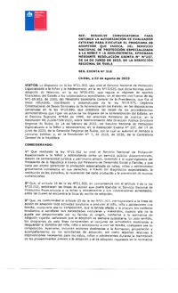 Resolución Exenta N° 318 del 3 de agosto de 2023: Resuelve convocatoria para obtener la autorización de Evaluador Externo para ejecutar el programa de Adopción que indica (descargar PDF)