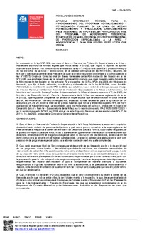 Resolución Exenta N°995
