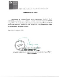 Sanción Firme- Corporación Opción - PRM Cepij Coyhaique