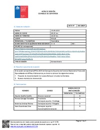 Acta Sesión N°1 Extra-2025 Consejo de Expertos