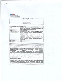 Acta preliminar de puntajes de candidaturas