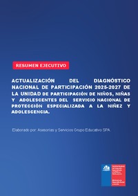 Informe ejecutivo diagnóstico participación