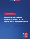 Informe Encuesta de Bienestar Subjetivo 2025