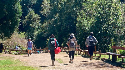 Niños, niñas y adolescentes visitan parques nacionales en Los Lagos