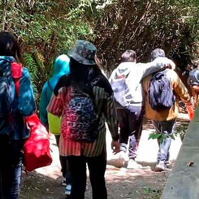 Niños, niñas y adolescentes visitan parques nacionales en Los Lagos