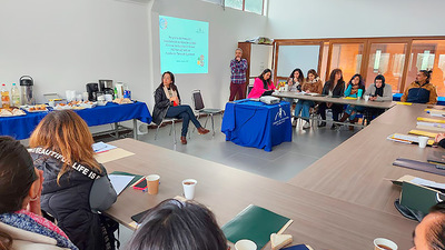 Profesionales de Los Ríos participaron de taller para la prevención de la explotación sexual en niños, niñas y adolescentes