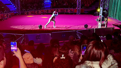 Niñas, niños y adolescentes de residencias de La Araucanía aprendieron mientras se divertían en el Circo de los Dinosaurios