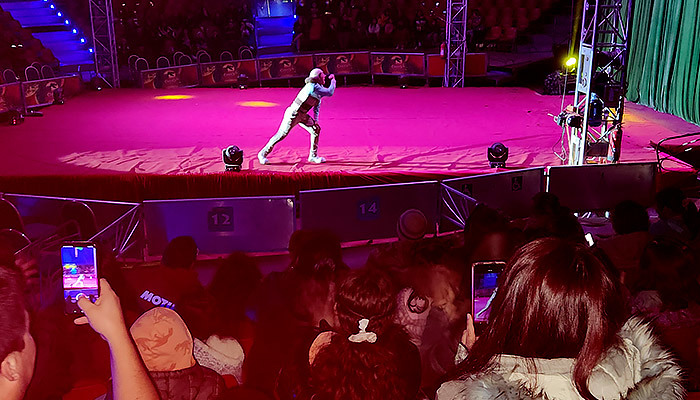Niñas, niños y adolescentes de residencias de La Araucanía aprendieron mientras se divertían en el Circo de los Dinosaurios