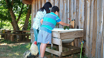 Niños de residencia familiar del Servicio Mejor Niñez de La Araucanía realizan terapia con animales
