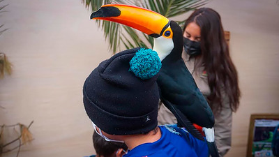 Niños y niñas de Atacama viven experiencia educativa con animales