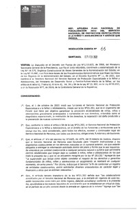 Resolución Exenta N° 66 :