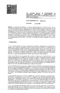 Resolución Exenta N° 208 :