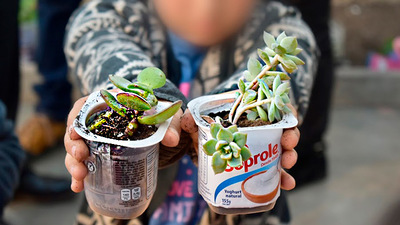 Niños, niñas y adolescentes de Coquimbo aprenden a cuidar el planeta