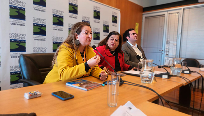 Directora de Biobío presenta lineamientos de trabajo al consejo regional 